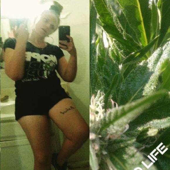 Meet your Posher, Diamond - Picture 1 of 1